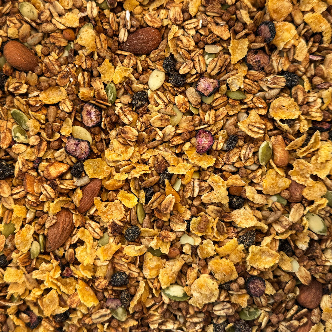 files/Blue_Frog_Hover_Images_GranolaBlueberry_Granola.jpg